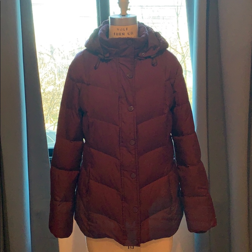 Tommy Hilfiger Warm Puff Coat.